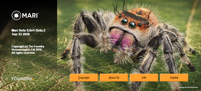 Mari splash screen showing the build date of a beta release